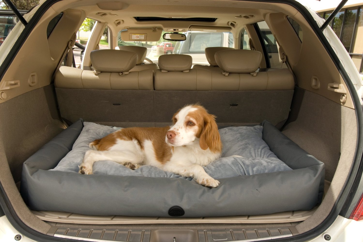 Dog Car Beds 