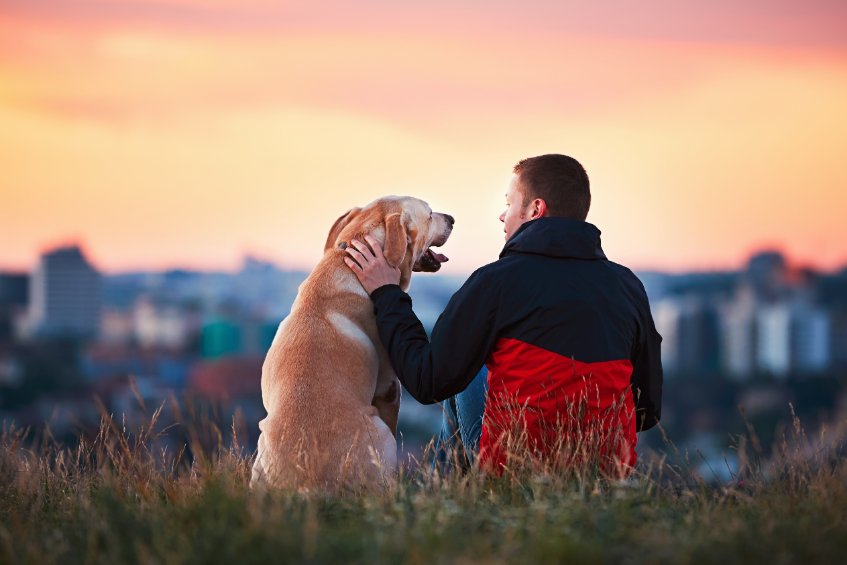 What to do if your dog hates your new partner