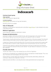 Indoxacarb drug information sheet